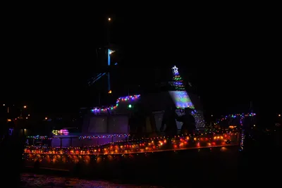 DSC_2506 (Large).JPG